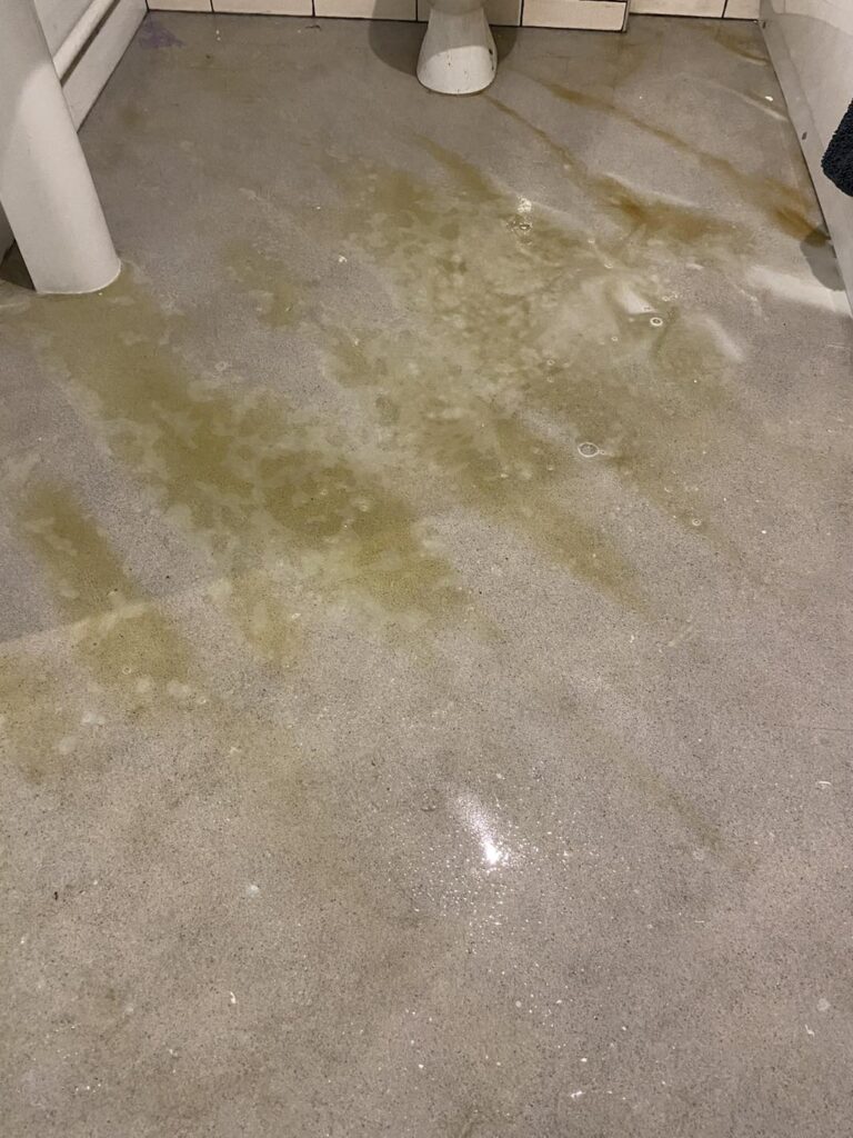 vinyl (LVT) flooring