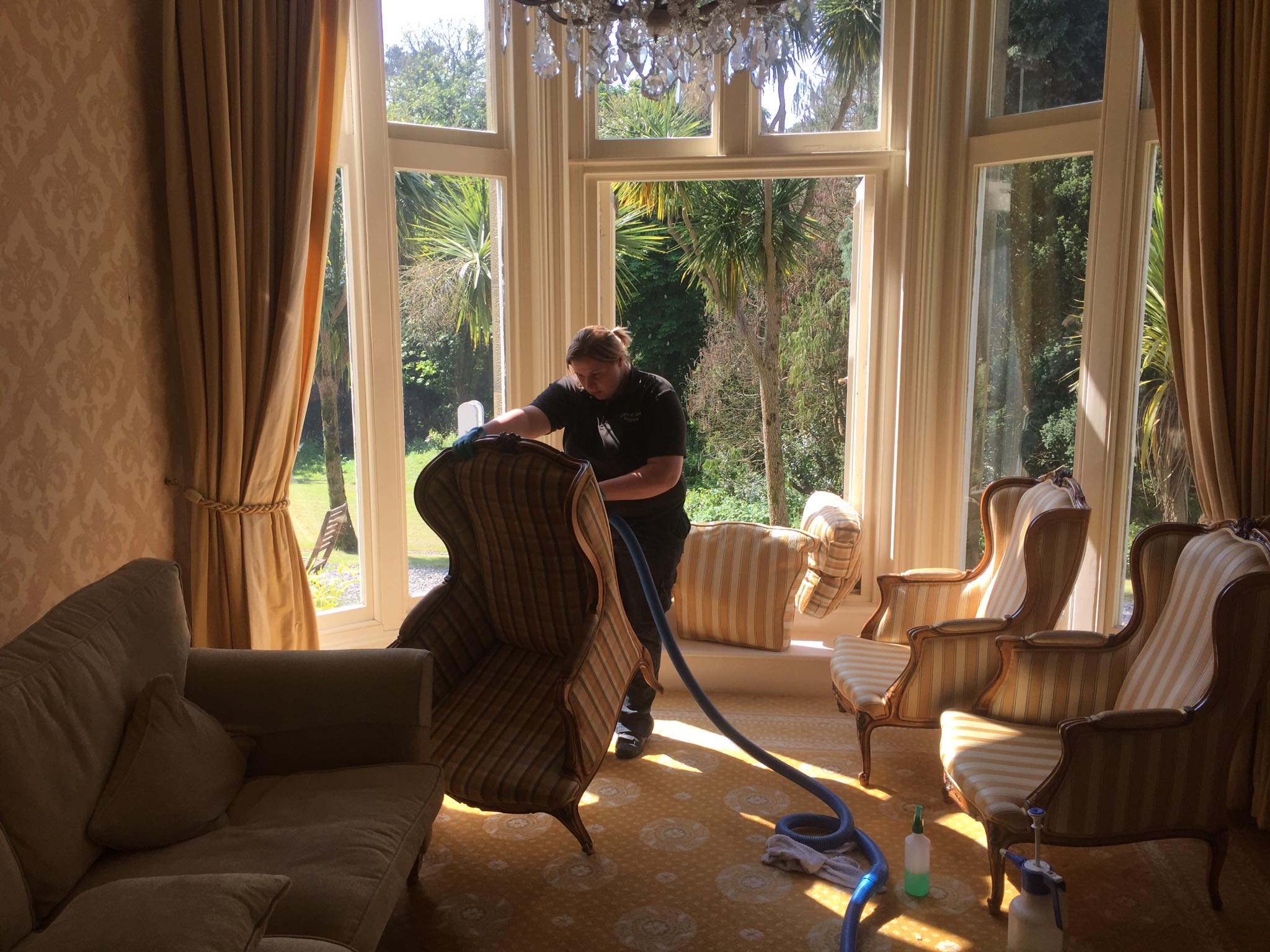 A photo of steam cleaning upholstery